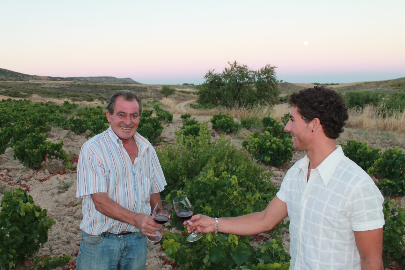 Dos hombres brindan con vino tinto entre las cepas
